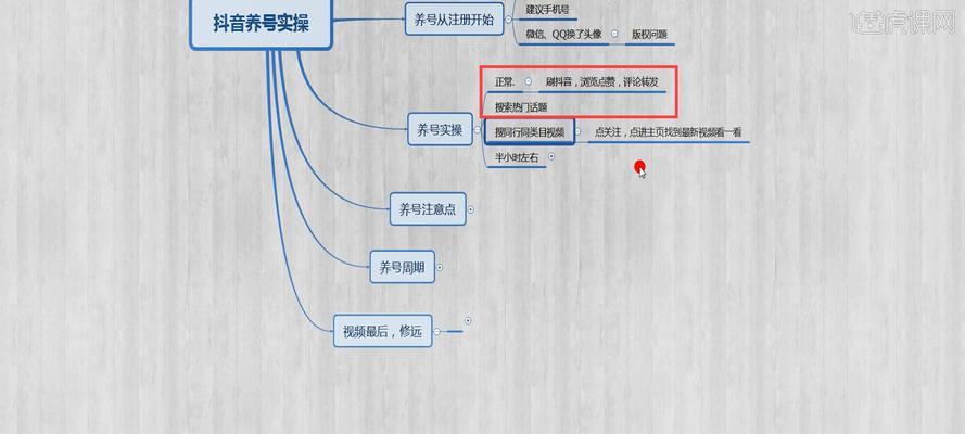 抖音养号必备（掌握这些方法）