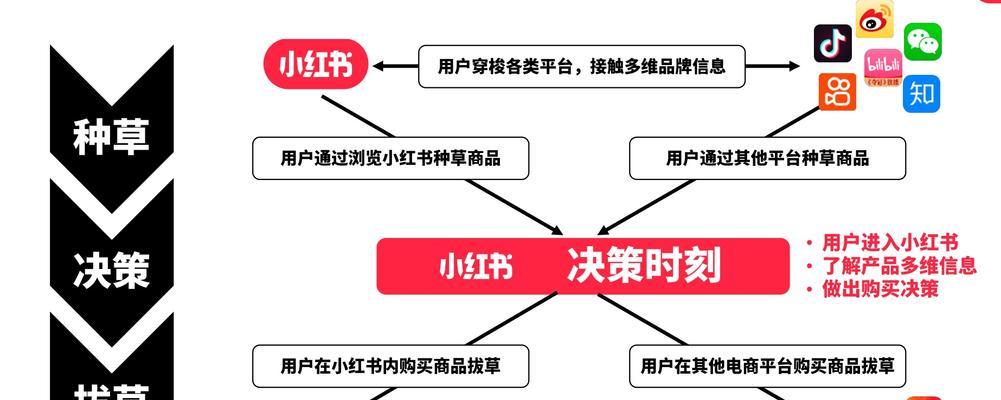 小红书上线蒲公英信用等级，打造更安全的消费环境（用户信用等级将成为购物新指南）