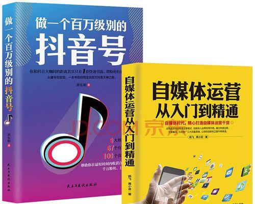 抖音推广费用及付款方式解析（如何科学合理地选择抖音广告投放方案）