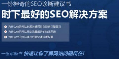 手机端网站SEO优化技巧与注意事项（让您的手机端网站在搜索引擎中更具竞争力）