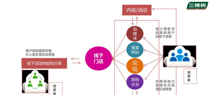 SEO优化方案：步骤和要点