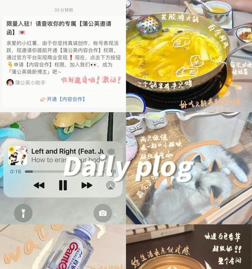 解读小红书蒲公英健康等级（了解健康等级的定义与作用）