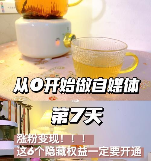 如何给视频号涨粉？有效策略和常见问题解答